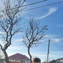 ���������� ���������, ���� ������� �������, 45 ���, ������������ ��� c�������� ���������