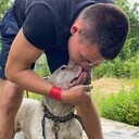 ���������� ������, ���� ����� �������, 25 ���, ������������ ��� ������, ���������