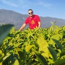 ���������� ������-��-����, ���� ������� �����, 37 ���, ������������ ��� ������, ����� � ���������