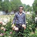 ���������� �������, ���� ������� Farukh, 42 ����, ������������ ��� ������, ����� � ���������, c�������� ���������