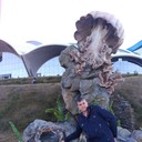 ���������� �����������, ���� ������� �������, 60 ���, ������������ ��� ������, ����� � ���������, c�������� ���������