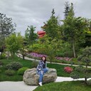  ,   , 55 ,   ,   , c 