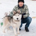 ���������� ���������, ���� ������� ���������, 38 ���, ������������ ��� ������, ����� � ���������, c�������� ���������