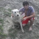 ���������� �����, ���� ������� ���, 31 ���, ������������ ��� ������, ����� � ���������, c�������� ���������, ���������