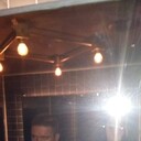 ���������� �������, ���� ������� Alexanderis, 42 ����, ������������ ��� ������, ����� � ���������