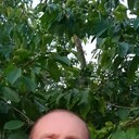 ���������� �������, ���� ������� ���������, 41 ���, ������������ ��� ������, ����� � ���������, c�������� ���������