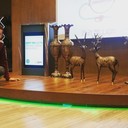 ���������� ���������, ���� ������� ����, 37 ���, ������������ ��� ������, ����� � ���������, c�������� ���������