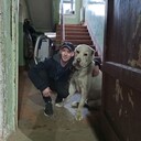 ���������� ������������, ���� ������� �����, 37 ���, ������������ ��� ������, ����� � ���������, c�������� ���������