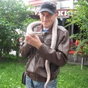  --,   , 38 ,   ,   