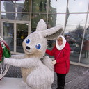 ���������� �����������, ���� ������� ���, 56 ���, ������������ ��� ����� � ���������, c�������� ���������