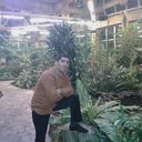  ,   GOR, 39 ,   ,   , c 
