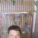 ���������� ��������, ���� ������� ������, 47 ���, ������������ ��� ������, ����� � ���������, c�������� ���������