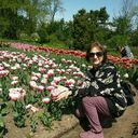 ���������� �����������, ���� ������� ���������, 74 ����, ������������ ��� ����� � ���������