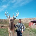 ���������� �������, ���� ������� �����, 40 ���, ������������ ��� ����� � ���������, c�������� ���������