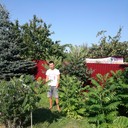  ,   Roman, 36 ,   