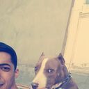 ���������� �������, ���� ������� ��, 36 ���, ������������ ��� ����� � ���������, c�������� ���������, ���������