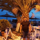 ���������� �������, ���� ������� Sioma, 41 ���, ������������ ��� ������, ���������