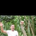  ,   , 40 ,   