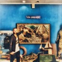 ���������� �����������, ���� ������� ������, 36 ���, ������������ ��� ����� � ���������, c�������� ���������