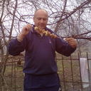 ���������� �������, ���� ������� Serg, 60 ���, ������������ ��� ������, ����� � ���������, c�������� ���������