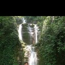 ���������� ������, ���� ������� ����, 44 ����, ������������ ��� ����� � ���������, c�������� ���������