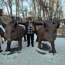   ,   Sergeu, 57 ,     , c , 