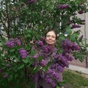  ,   , 62 ,   c 