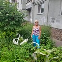  ,   , 63 ,   ,   , c 