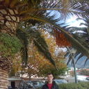 ���������� ����, ���� ������� Armands, 34 ����, ������������ ��� ������