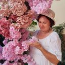 ���������� ����� �������, ���� ������� �����, 55 ���, ������������ ��� ������, ����� � ���������