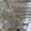  ,   , 32 ,   ,   , c 