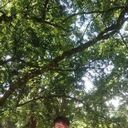  Kathmandu,   Dhurbajang, 29 ,   ,   