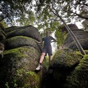 ���������� �����������, ���� ����� �������, 22 ����, ������������ ��� ������, ����� � ���������, c�������� ���������, ���������