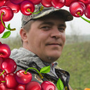 ���������� �����������, ���� ������� ������, 44 ����, ������������ ��� ������, ����� � ���������, c�������� ���������