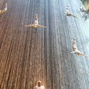 ���������� ������, ���� ������� Seven, 42 ����, ������������ ��� ������