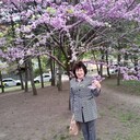  ,   , 66 ,   c 