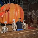 ���������� ����������, ���� ������� �������, 34 ����, ������������ ��� ������, ����� � ���������, c�������� ���������