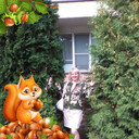  ,   , 46 ,     , c 