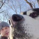 ���������� �������, ���� ������� �������, 38 ���, ������������ ��� ������, ����� � ���������, c�������� ���������