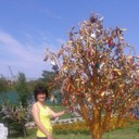 ���������� �����������, ���� ������� ������, 47 ���, ������������ ��� ������, ����� � ���������, c�������� ���������