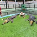 ���������� ���������, ���� ������� �������, 35 ���, ������������ ��� ������, ����� � ���������