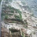 ���������� �����������, ���� ������� ������, 35 ���, ������������ ��� ������, ����� � ���������, c�������� ���������