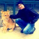 ���������� ���������, ���� ������� ������, 38 ���, ������������ ��� ������, ����� � ���������, c�������� ���������