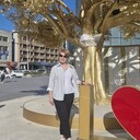 ���������� �������������-����������, ���� ������� �����, 48 ���, ������������ ��� ����� � ���������, c�������� ���������