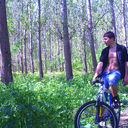 ���������� ���������, ���� ������� ���������, 31 ���, ������������ ��� ������