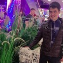 ���������� ������, ���� ������� ���������, 31 ���, ������������ ��� ������, ����� � ���������, c�������� ���������, ���������