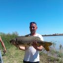  ,   Alex, 57 ,   ,   , c 