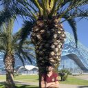 ���������� ����, ���� ������� ������, 30 ���, ������������ ��� ������, ����� � ���������