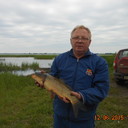  ,   , 62 ,  