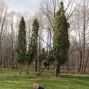  ,   , 41 ,   ,   , c 